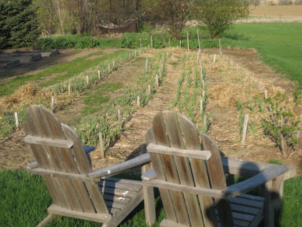 The farm chairs on May 8, 2009